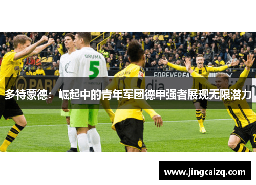 多特蒙德：崛起中的青年军团德甲强者展现无限潜力